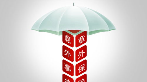 雇主责任险诉讼中的社会经济咨询价值探析