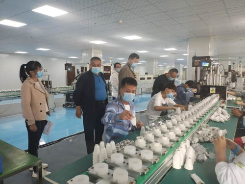 博州人大常委会深入博乐市调研 助力经济社会高质量发展与“十四五”蓝图绘制